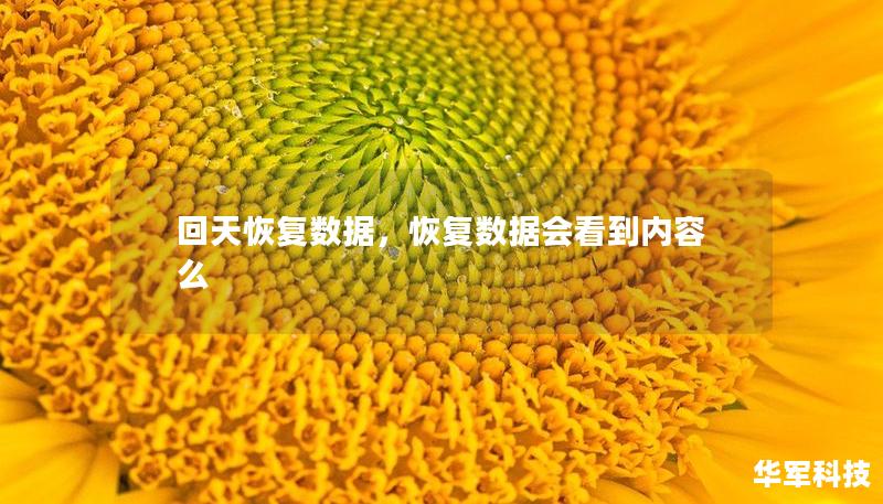 回天恢復(fù)數(shù)據(jù)，恢復(fù)數(shù)據(jù)會(huì)看到內(nèi)容么