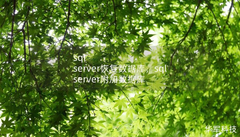 sql server恢復(fù)數(shù)據(jù)庫，sql server附加數(shù)據(jù)庫