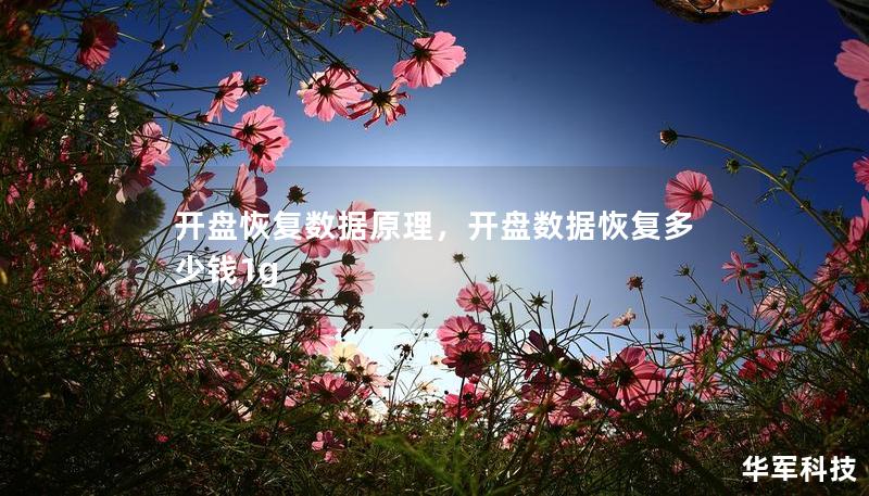 開(kāi)盤(pán)恢復(fù)數(shù)據(jù)原理，開(kāi)盤(pán)數(shù)據(jù)恢復(fù)多少錢(qián)1g