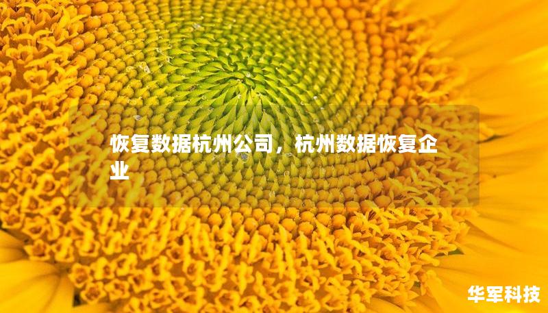 恢復(fù)數(shù)據(jù)杭州公司，杭州數(shù)據(jù)恢復(fù)企業(yè)
