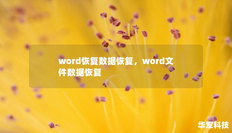word恢復(fù)數(shù)據(jù)恢復(fù)，word文件數(shù)據(jù)恢復(fù)