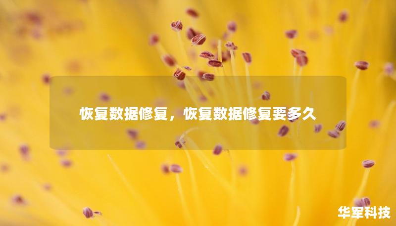 恢復(fù)數(shù)據(jù)修復(fù)，恢復(fù)數(shù)據(jù)修復(fù)要多久