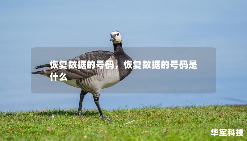 恢復(fù)數(shù)據(jù)的號(hào)碼，恢復(fù)數(shù)據(jù)的號(hào)碼是什么