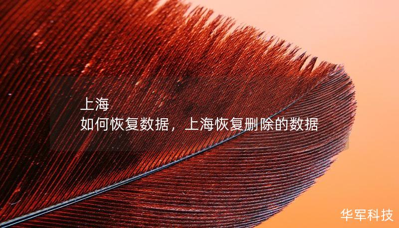 上海 如何恢復(fù)數(shù)據(jù)，上海恢復(fù)刪除的數(shù)據(jù)