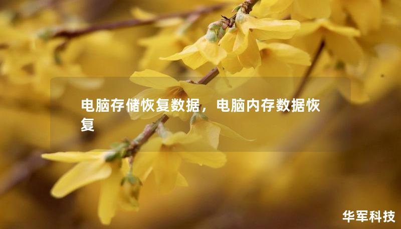 電腦存儲(chǔ)恢復(fù)數(shù)據(jù)，電腦內(nèi)存數(shù)據(jù)恢復(fù)
