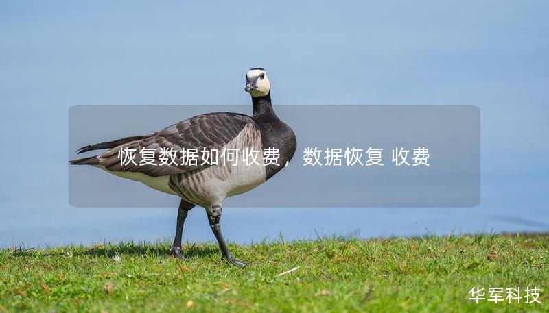 恢復(fù)數(shù)據(jù)如何收費(fèi)，數(shù)據(jù)恢復(fù) 收費(fèi)