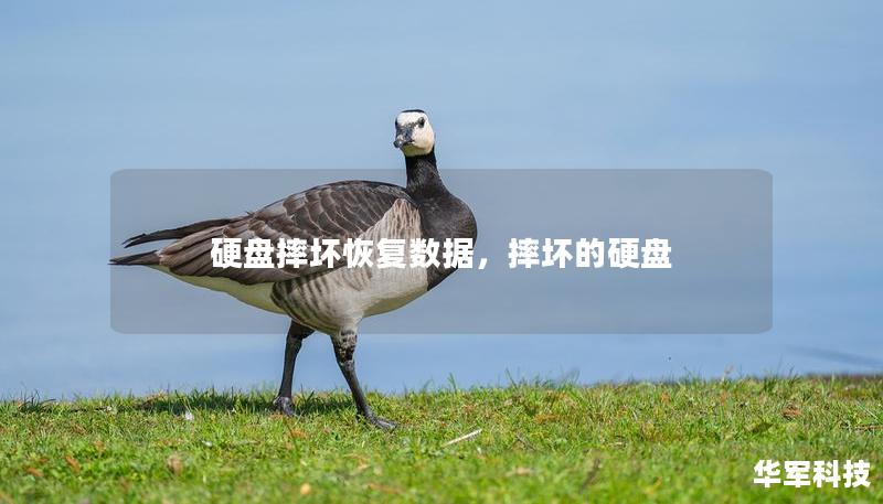 硬盤摔壞恢復(fù)數(shù)據(jù)，摔壞的硬盤