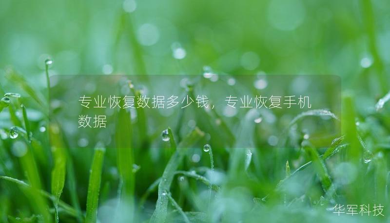 專業(yè)恢復(fù)數(shù)據(jù)多少錢，專業(yè)恢復(fù)手機(jī)數(shù)據(jù)