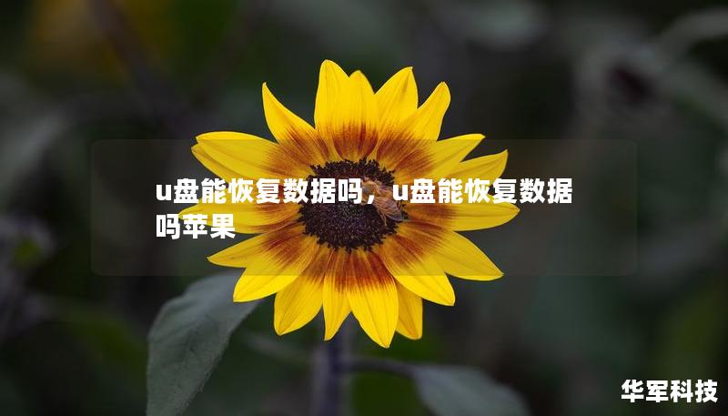 u盤能恢復(fù)數(shù)據(jù)嗎，u盤能恢復(fù)數(shù)據(jù)嗎蘋果