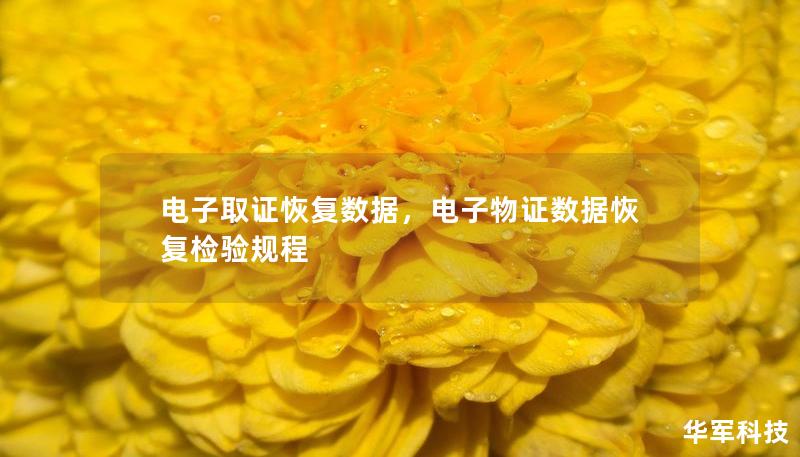 電子取證恢復(fù)數(shù)據(jù)，電子物證數(shù)據(jù)恢復(fù)檢驗規(guī)程