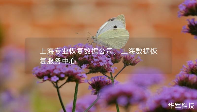 上海專業(yè)恢復數(shù)據(jù)公司，上海數(shù)據(jù)恢復服務(wù)中心