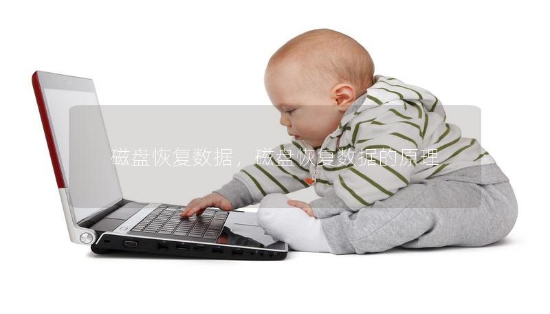 磁盤恢復(fù)數(shù)據(jù)，磁盤恢復(fù)數(shù)據(jù)的原理