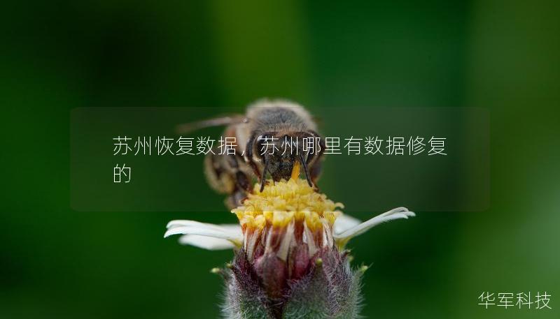 蘇州恢復(fù)數(shù)據(jù)，蘇州哪里有數(shù)據(jù)修復(fù)的