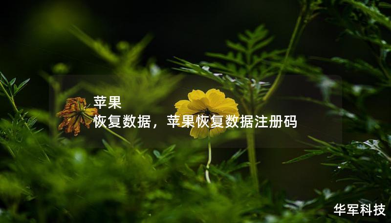 蘋果 恢復(fù)數(shù)據(jù)，蘋果恢復(fù)數(shù)據(jù)注冊(cè)碼