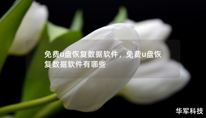 免費(fèi)u盤(pán)恢復(fù)數(shù)據(jù)軟件，免費(fèi)u盤(pán)恢復(fù)數(shù)據(jù)軟件有哪些