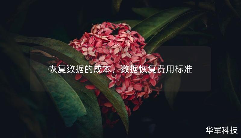 恢復(fù)數(shù)據(jù)的成本，數(shù)據(jù)恢復(fù)費用標(biāo)準(zhǔn)