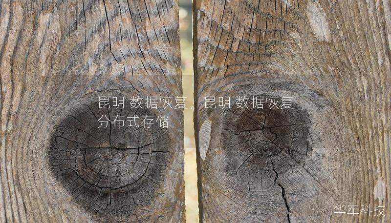 昆明 數(shù)據(jù)恢復(fù)，昆明 數(shù)據(jù)恢復(fù) 分布式存儲(chǔ)