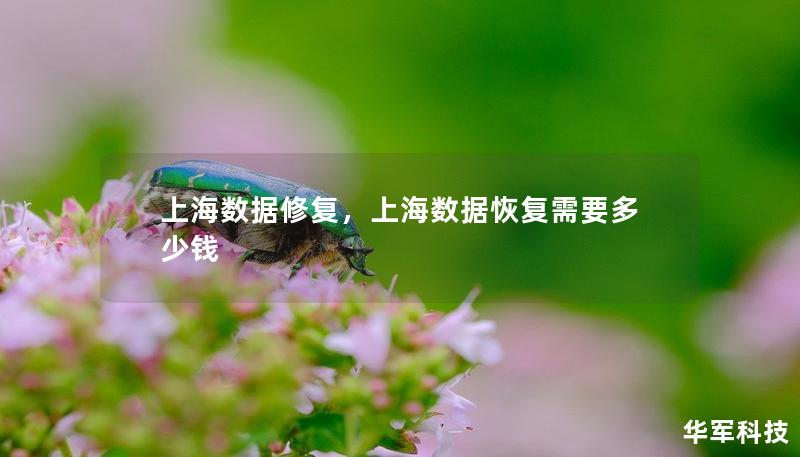 上海數(shù)據(jù)修復(fù)，上海數(shù)據(jù)恢復(fù)需要多少錢