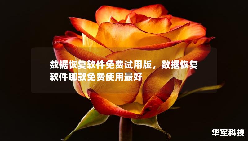 數(shù)據(jù)恢復(fù)軟件免費(fèi)試用版，數(shù)據(jù)恢復(fù)軟件哪款免費(fèi)使用最好