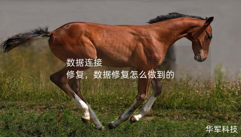 數(shù)據(jù)連接 修復(fù)，數(shù)據(jù)修復(fù)怎么做到的