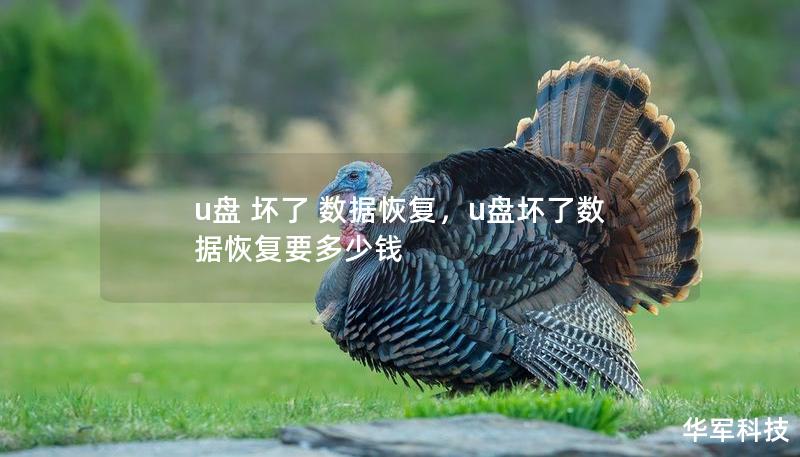 u盤 壞了 數(shù)據(jù)恢復(fù)，u盤壞了數(shù)據(jù)恢復(fù)要多少錢