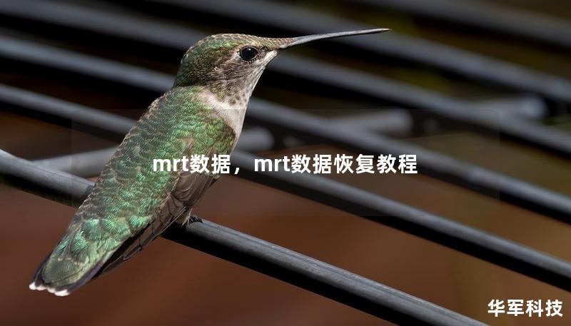 mrt數(shù)據(jù)，mrt數(shù)據(jù)恢復(fù)教程