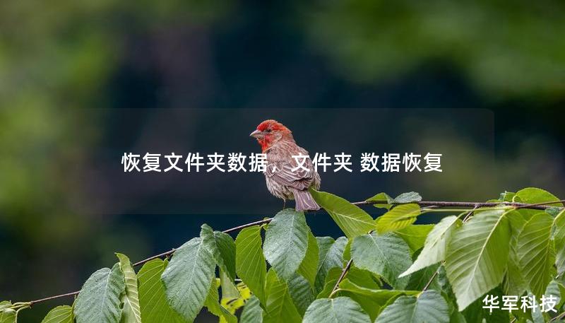 恢復(fù)文件夾數(shù)據(jù)，文件夾 數(shù)據(jù)恢復(fù)