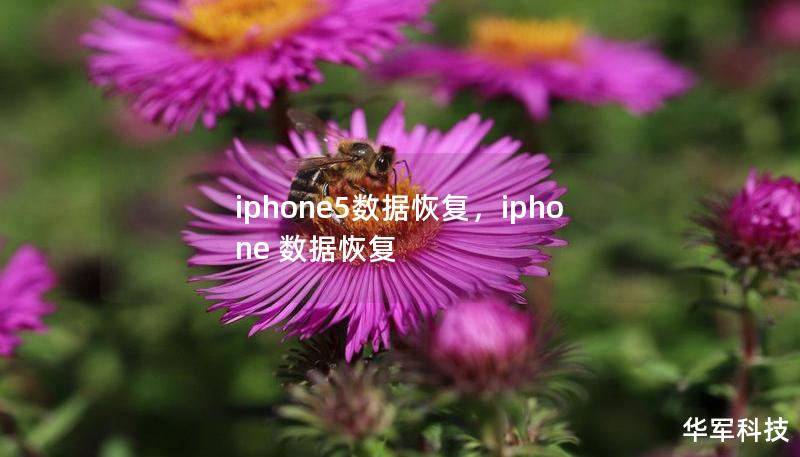 iphone5數(shù)據(jù)恢復(fù)，iphone 數(shù)據(jù)恢復(fù)