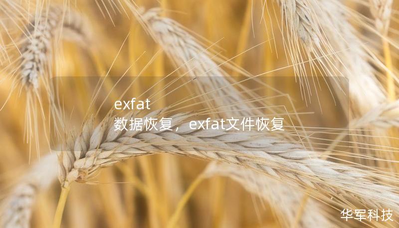 exfat  數(shù)據(jù)恢復(fù)，exfat文件恢復(fù)