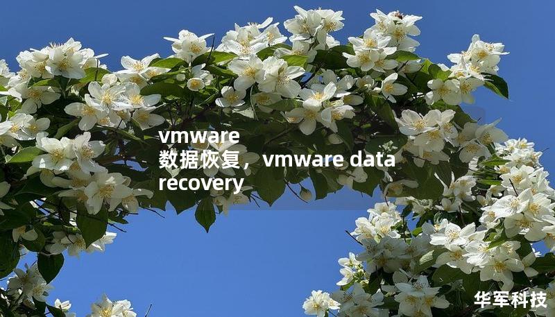 vmware 數(shù)據(jù)恢復(fù)，vmware data recovery