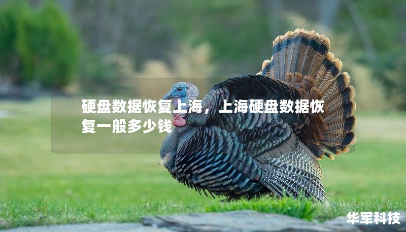 硬盤數(shù)據(jù)恢復(fù)上海，上海硬盤數(shù)據(jù)恢復(fù)一般多少錢