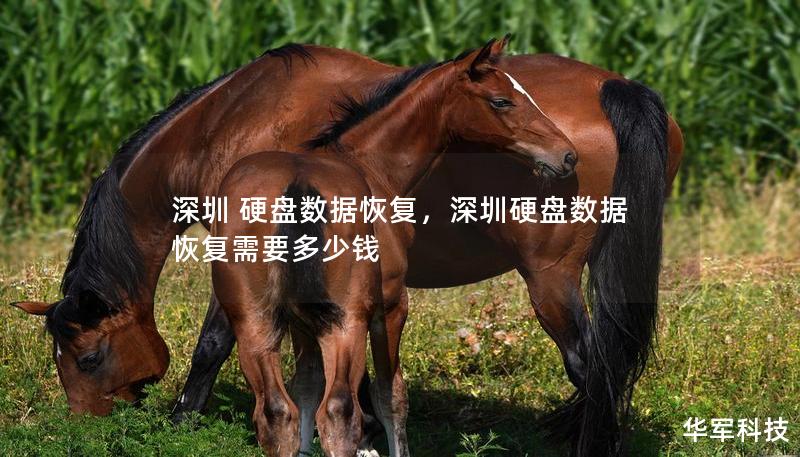 深圳 硬盤數(shù)據(jù)恢復(fù)，深圳硬盤數(shù)據(jù)恢復(fù)需要多少錢