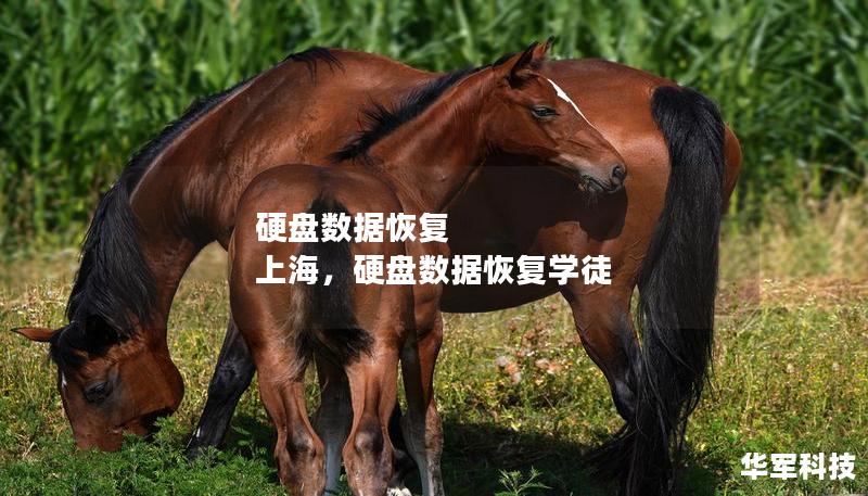 硬盤數(shù)據(jù)恢復(fù) 上海，硬盤數(shù)據(jù)恢復(fù)學(xué)徒