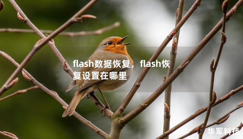 flash數(shù)據(jù)恢復(fù)，flash恢復(fù)設(shè)置在哪里