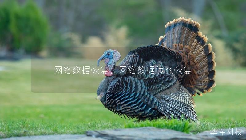 網(wǎng)絡(luò)數(shù)據(jù)恢復(fù)，網(wǎng)絡(luò)數(shù)據(jù)怎么恢復(fù)