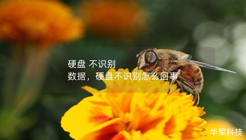 硬盤 不識別 數(shù)據(jù)，硬盤不識別怎么回事