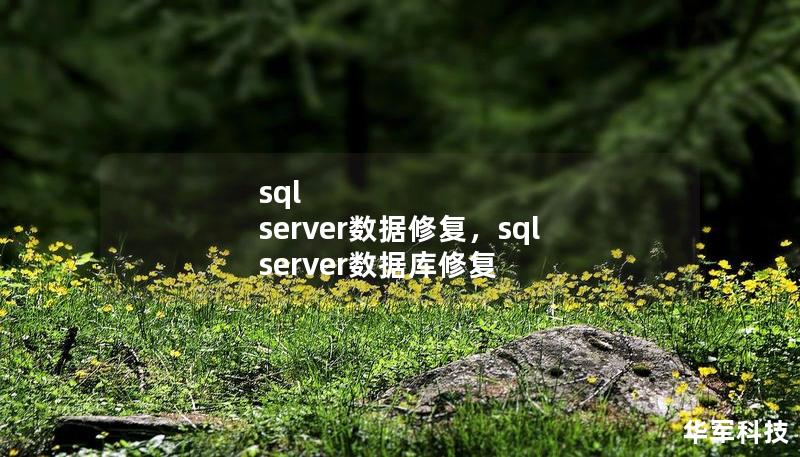sql server數(shù)據(jù)修復(fù)，sql server數(shù)據(jù)庫(kù)修復(fù)