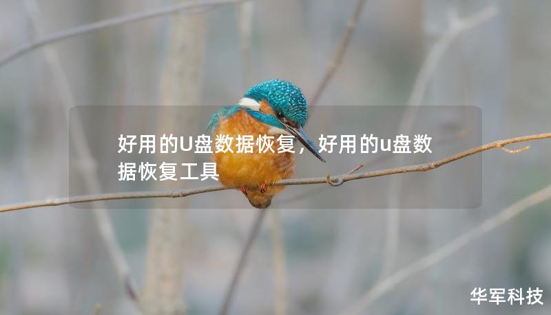 好用的U盤數(shù)據(jù)恢復(fù)，好用的u盤數(shù)據(jù)恢復(fù)工具