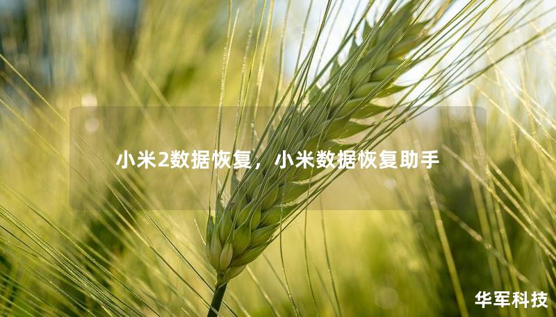 小米2數(shù)據(jù)恢復，小米數(shù)據(jù)恢復助手