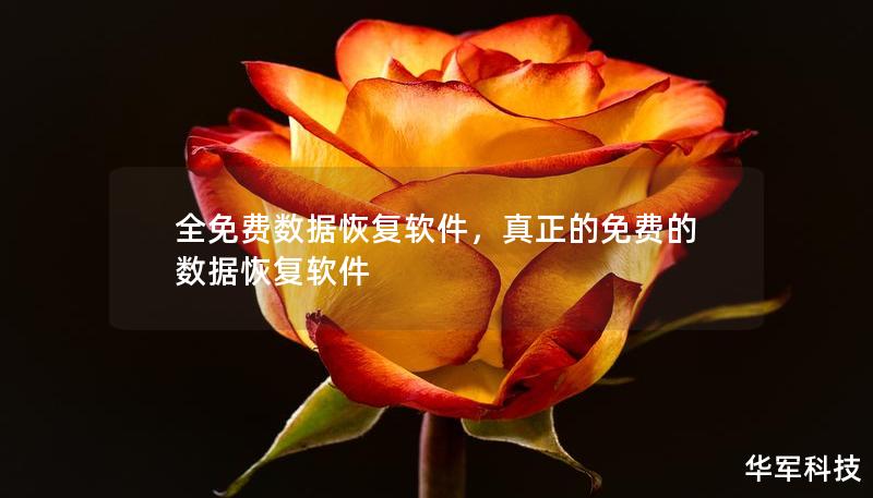 全免費數(shù)據(jù)恢復軟件，真正的免費的數(shù)據(jù)恢復軟件