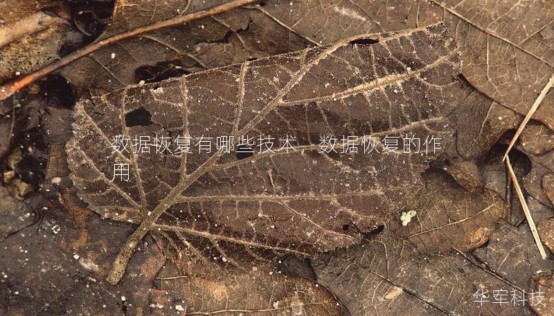 數(shù)據(jù)恢復有哪些技術，數(shù)據(jù)恢復的作用