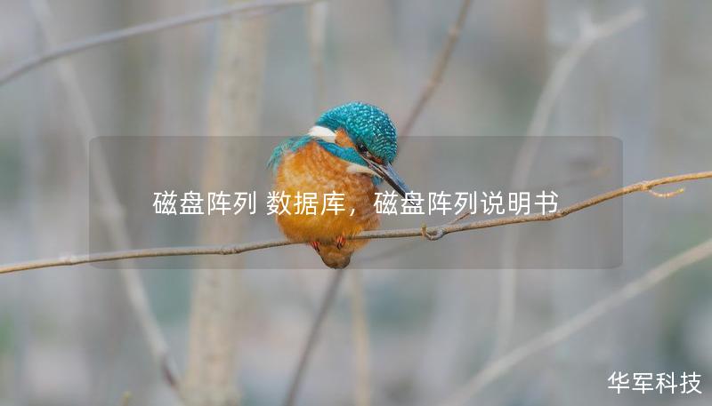 磁盤陣列 數(shù)據(jù)庫，磁盤陣列說明書