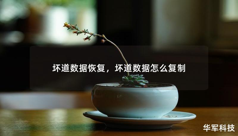 壞道數(shù)據(jù)恢復，壞道數(shù)據(jù)怎么復制