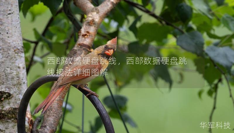 西部數(shù)據(jù)硬盤跳線，西部數(shù)據(jù)硬盤跳線接法詳細(xì)圖解