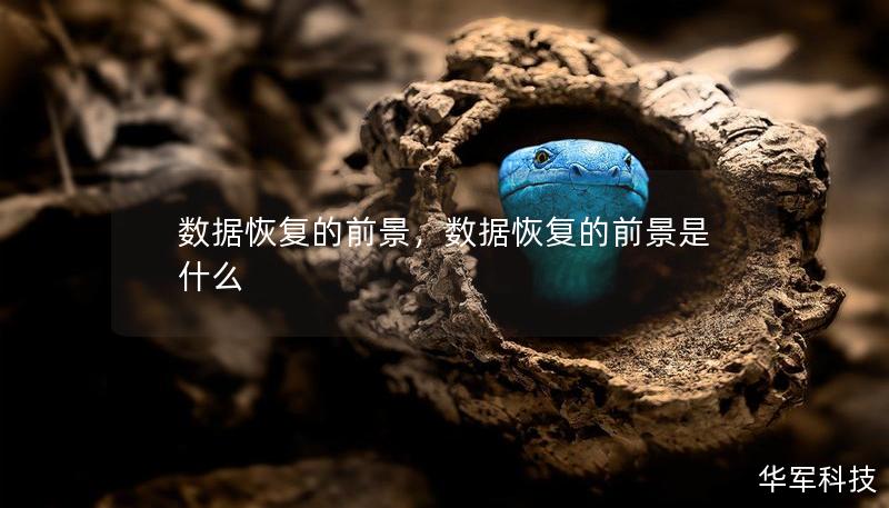 數(shù)據(jù)恢復(fù)的前景，數(shù)據(jù)恢復(fù)的前景是什么