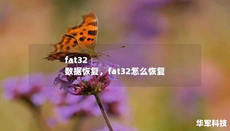 fat32 數(shù)據(jù)恢復(fù)，fat32怎么恢復(fù)