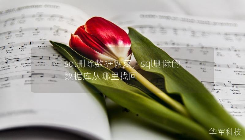 sql刪除數(shù)據(jù)恢復(fù)，sql刪除的數(shù)據(jù)庫從哪里找回