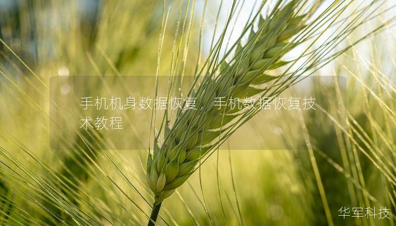 手機機身數(shù)據(jù)恢復，手機數(shù)據(jù)恢復技術教程
