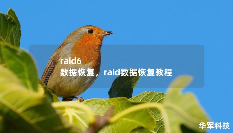 raid6 數(shù)據(jù)恢復(fù)，raid數(shù)據(jù)恢復(fù)教程