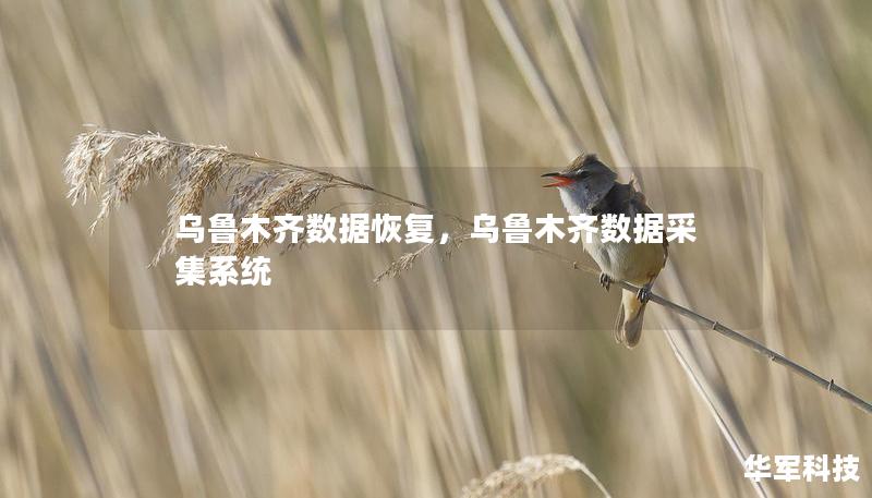 烏魯木齊數(shù)據(jù)恢復(fù)，烏魯木齊數(shù)據(jù)采集系統(tǒng)